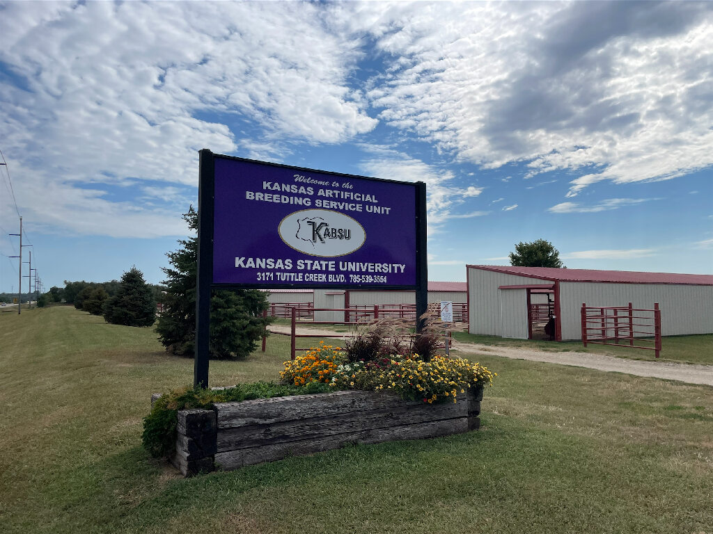 KABSU Purple Sign