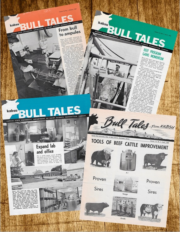 Bull Tales